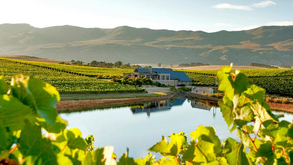 Continent Winner - The Best Vineyard in Africa 2022